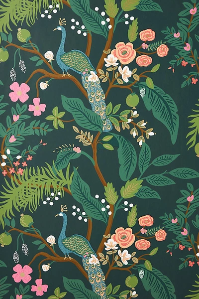 Rifle Paper Co . Peacock Wallpaper