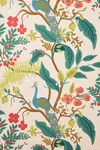 Rifle Paper Co . Peacock Wallpaper In Orange