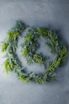 Terrain Fresh Juniper + Noble Fir Garland In Green