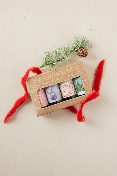Terrain Holiday Simple Syrups, Set Of 4 In Assorted