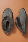 Ugg Coquette Womens Suede Lined Mule Slippers In Grey