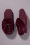 Sorel Go Coffee Run Slippers Women's Shoes In Purple