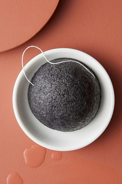 Nash & Jones Konjac Face Sponge In Black