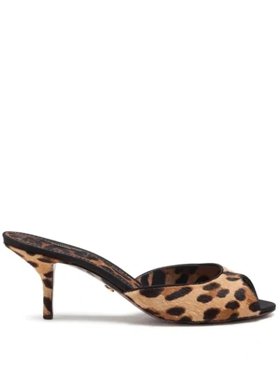 Dolce & Gabbana Leopard-print Pony Hair Mules In Brown
