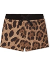 Dolce & Gabbana Leopard-print Shorts In Brown