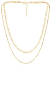 LUV AJ CECILIA CHAIN NECKLACE,LUVA-WL558