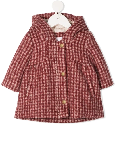 Chloé Babies' 花纹针织连帽大衣 In Red