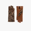 AGNELLE BROWN CHLOÉ LEOPARD PRINT GLOVES,CHLOEPANTHERE15696271