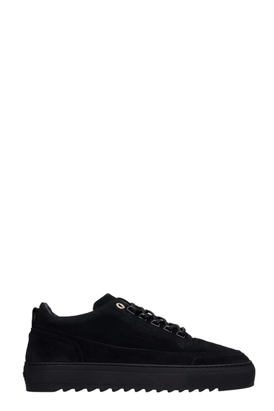 Mason Garments Firenze Sneakers In Black Suede