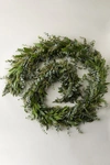 TERRAIN FRESH EUCALYPTUS + ISRAELI RUSCUS GARLAND,53283776