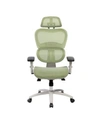 Rta Products Techni Mobili High Back Mesh Office Executive Chair In Green