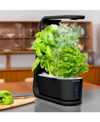 Aerogarden Sprout With Gourmet Herbs Seed Pod Kit - Hydroponic Indoor Garden In Black