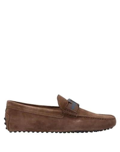 Tod's Loafers In Brown