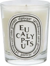 Diptyque Eucalyptus Scented Candle In White