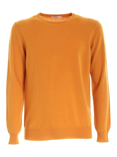 Kangra Cashmere Patch Pullover In Curry Color In Yellow