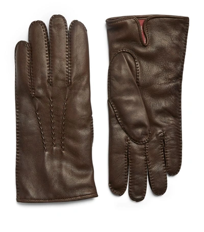 Dents Lthr Gloves Contrast Cashmere In Brown