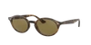 Ray Ban Ray In Dark Brown Classic B-15