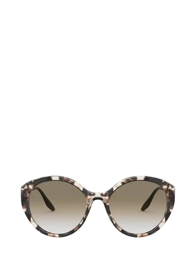 Prada Pr 18xs Ivory Havana Sunglasses In Grey
