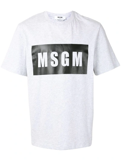 Msgm Logo Print T-shirt In Gray