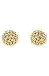 Lagos Caviar Gold Collection 18k Gold Stud Earrings In Gold