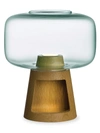 NUDE GLASS CLEAR TREE NIGHT LAMP,400011734743