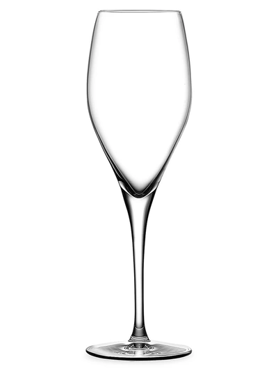 Nude Glass 2-piece Vintage Champagne Glass Set