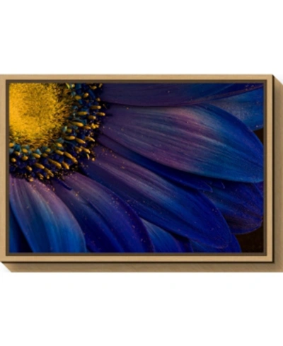 Amanti Art Blue Rays By Porsteinn H. Ingibergsson Canvas Framed Art In Brown