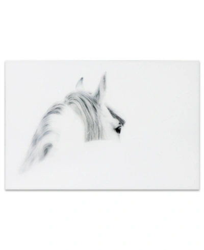 Empire Art Direct 'blanco Mare Horse' Frameless Free Floating Tempered Glass Panel Graphic Wall Art In White