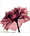 EMPIRE ART DIRECT CHIANTI ROSE I FRAMELESS FREE FLOATING TEMPERED GLASS PANEL GRAPHIC WALL ART, 24" X 24" X 0.2"