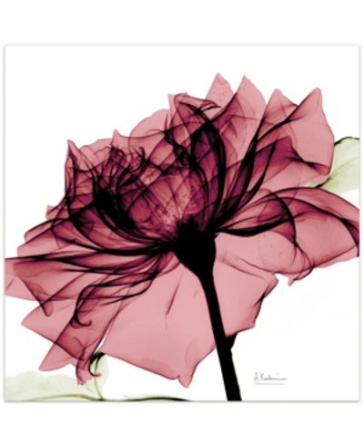 Empire Art Direct Chianti Rose I Frameless Free Floating Tempered Glass Panel Graphic Wall Art, 24" X 24" X 0.2" In Pink