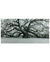 Empire Art Direct Growth Frameless Free Floating Tempered Art Glass Wall Art By Ead Art Coop, 36" X 72" X 0.2" In Gray