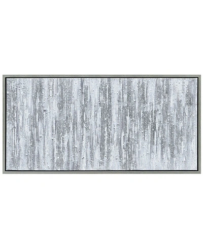 Empire Art Direct Silver Frequency Textured Metallic Hand Painted Wall Art By Martin Edwards, 24" X 48" X 1.5" In Multi