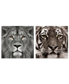 EMPIRE ART DIRECT KING OF THE JUNGLE LION EYE OF THE TIGER FRAMELESS FREE FLOATING TEMPERED GLASS PANEL GRAPHIC WALL A