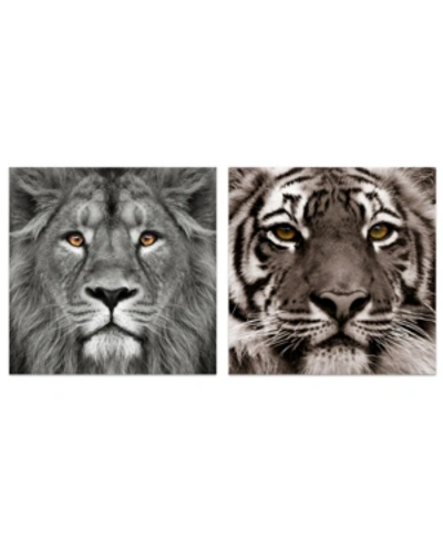 Empire Art Direct King Of The Jungle Lion Eye Of The Tiger Frameless Free Floating Tempered Glass Panel Graphic Wall A In Gray