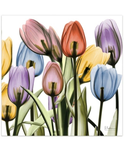 Empire Art Direct Tulip Scape X-ray Ii Frameless Free Floating Tempered Glass Panel Graphic Wall Art, 24" X 24" X 0.2" In Multi