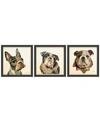 EMPIRE ART DIRECT BULLDOGS CLOSE UP DIMENSIONAL COLLAGE FRAMED GRAPHIC ART UNDER GLASS WALL ART, 17" X 17" X 1.4"