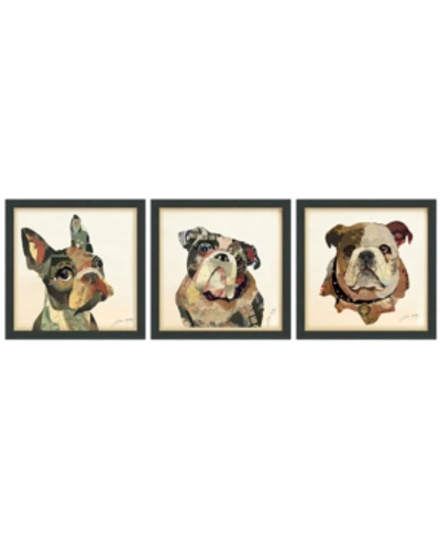 Empire Art Direct Bulldogs Close Up Dimensional Collage Framed Graphic Art Under Glass Wall Art, 17" X 17" X 1.4" In Brown