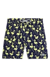 Tom & Teddy Kids' Little Boy's & Boy's Flamingo Swim Trunks In Dark Blue Yellow