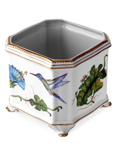 Anna Weatherly Hummingbird Porcelain Square Cachepot