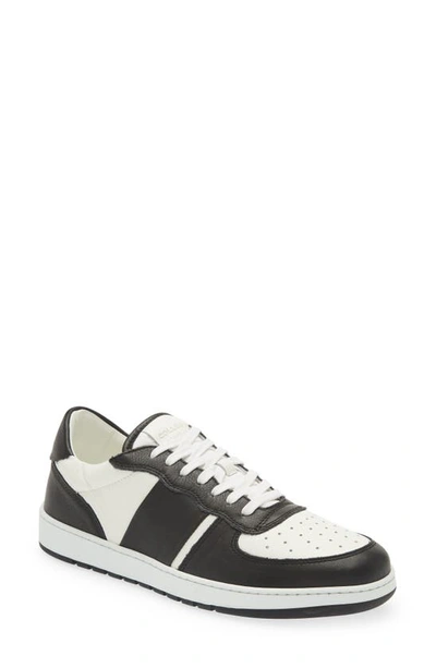 Collegium Pillar Destroyer Black Panelled Leather Sneakers