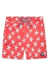 Tom & Teddy Kids' Boy's Starfish-print Swim Trunks In Pink