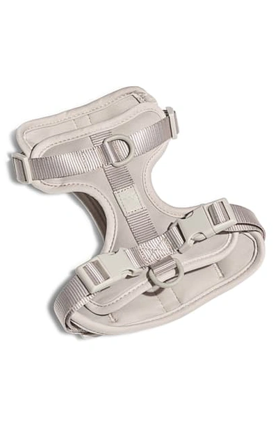 Wild One Dog Harness In Gray
