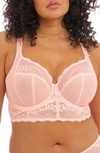 Elomi Full Figure Charley Lace Underwire Longline Bra El4381, Online Only In Ballet Pink