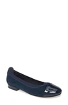 David Tate Nicole Cap Toe Flat In Navy Suede