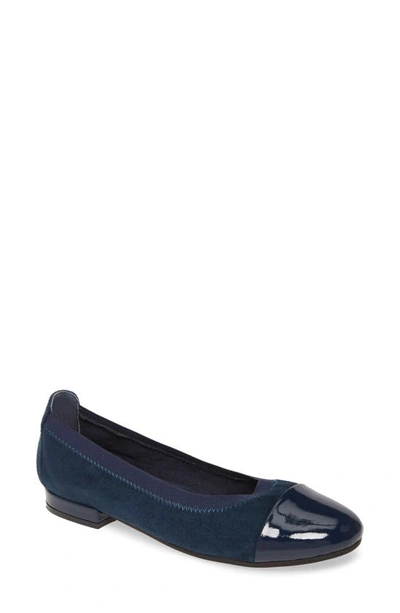 David Tate Nicole Cap Toe Flat In Navy Suede