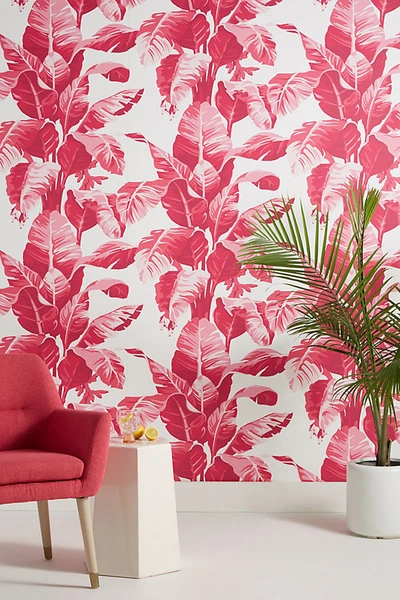 Nathan Turner Electric Palm Wallpaper By  In Pink Size Xs