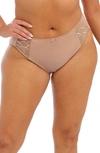 Elomi Cate Full Figure Briefs In Hazel