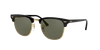 Ray Ban Ray In Polarized Green Classic G-15