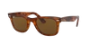 Ray Ban Ray In Brown Classic B-15