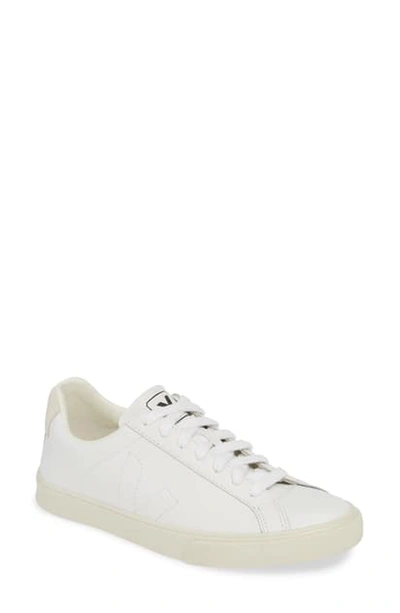 Veja Embroidered-logo Low-top Sneakers In White